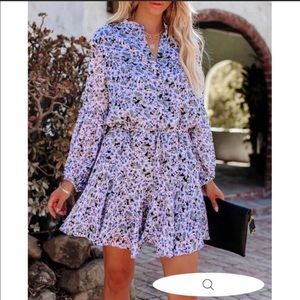 Francine Balloon Adjustable Sleeve Chiffon Dress